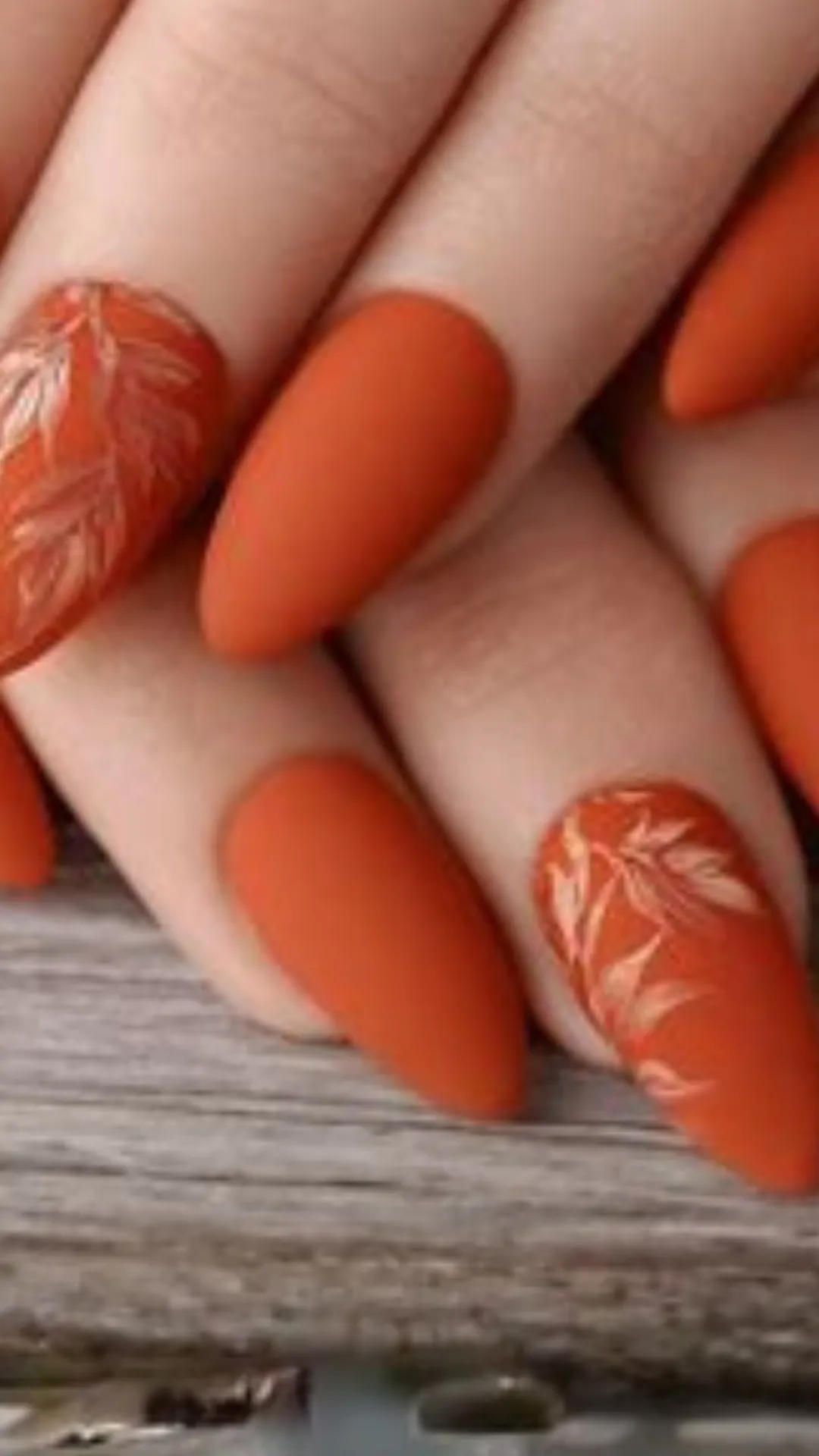 Coarsely textured matte orange almond nails detailed with intricate, hand-painted white autumn leaf sketches on the accent nails.
