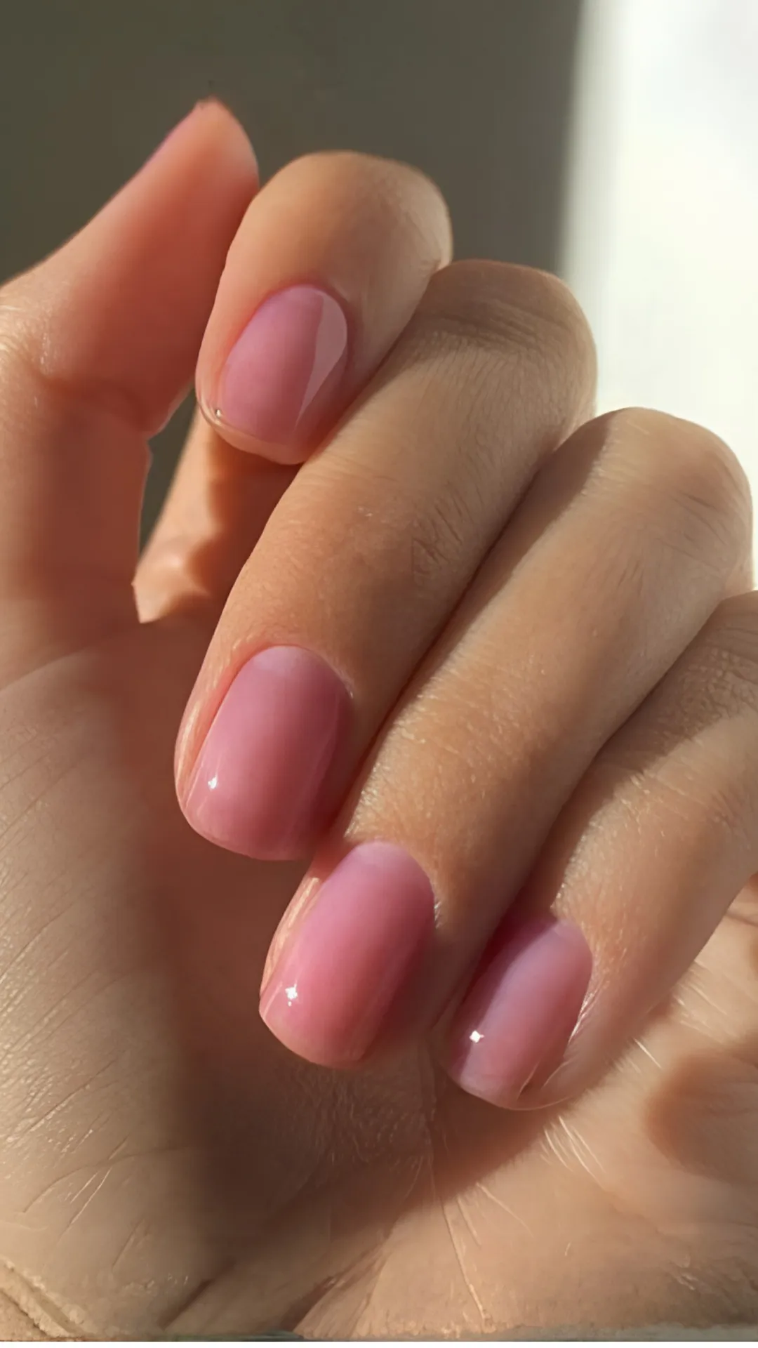 A close-up photograph of a hand under warm, natural sunlight showcasing a flawless Korean syrup manicure. The short, neatly shaped square nails are painted with a semi-sheer, jelly-textured bubblegum pink polish. The glossy topcoat reflects sharp, clean lines of light, highlighting the smooth, plump, and healthy look of the nails.
